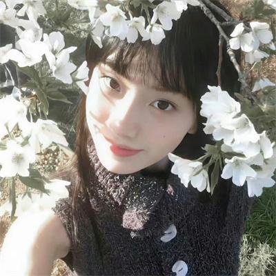 明月祭君心